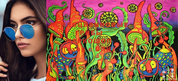 MDMA Армянск