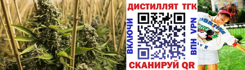 omg tor Вятские Поляны ТГК гашишное масло цены
